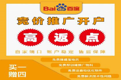 信息流广告代理项目案例分析